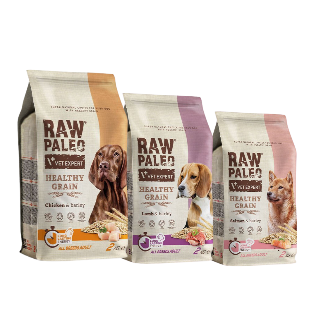 Raw Paleo Healthy Grain Dog