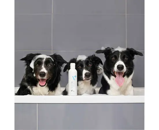 Shampoo für Hunde und Katzen
