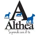 Althea Super Premium Logo