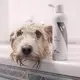 Vet Expert Shampoo für weisses Fell